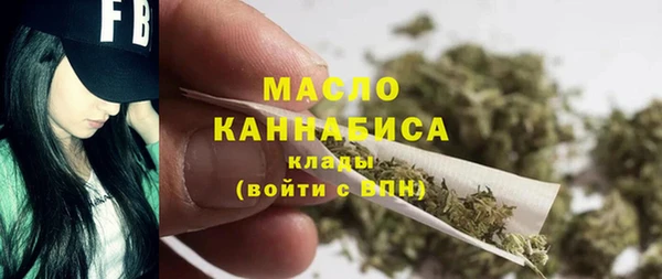 прущий лед Бородино