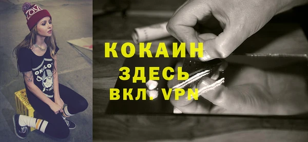 прущий лед Бородино