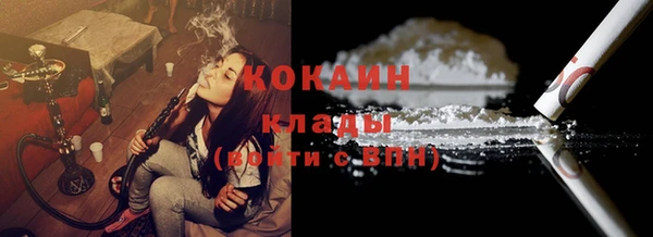 дживик Бронницы