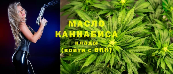 дживик Бронницы
