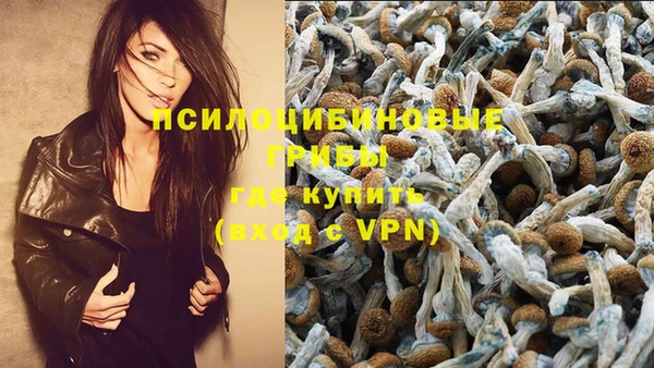 мяу мяу мука Бугульма