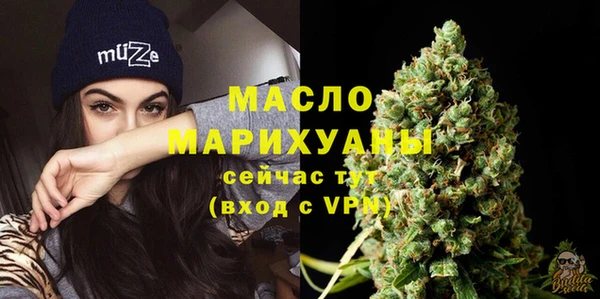 прущий лед Бородино