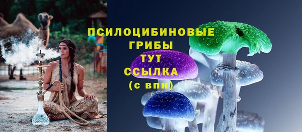 дживик Бронницы