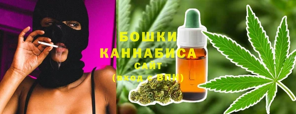 дживик Бронницы