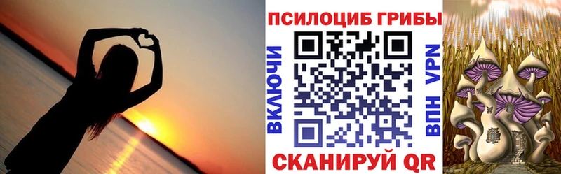 Галлюциногенные грибы Cubensis  Далматово 